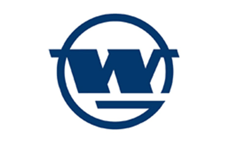 Wuhan Iron and Steel Co Ltd (Wisco) Logo